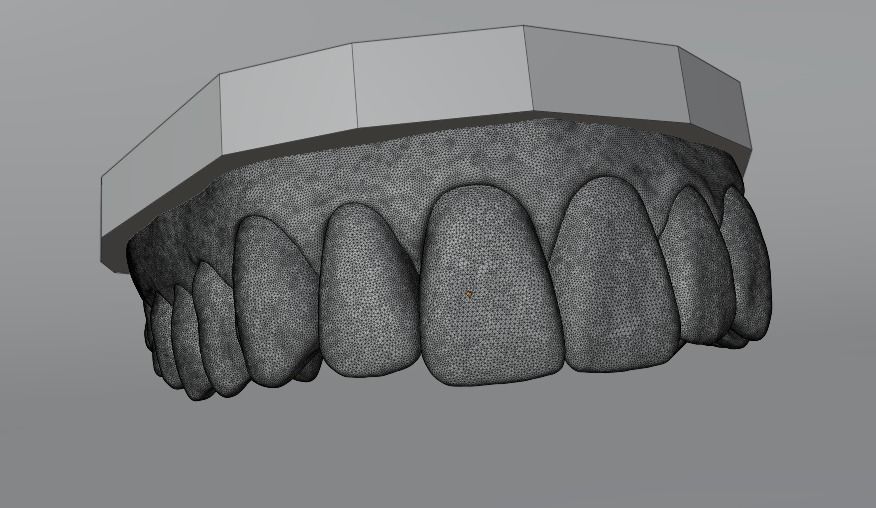 Human teeth 3D print model_3