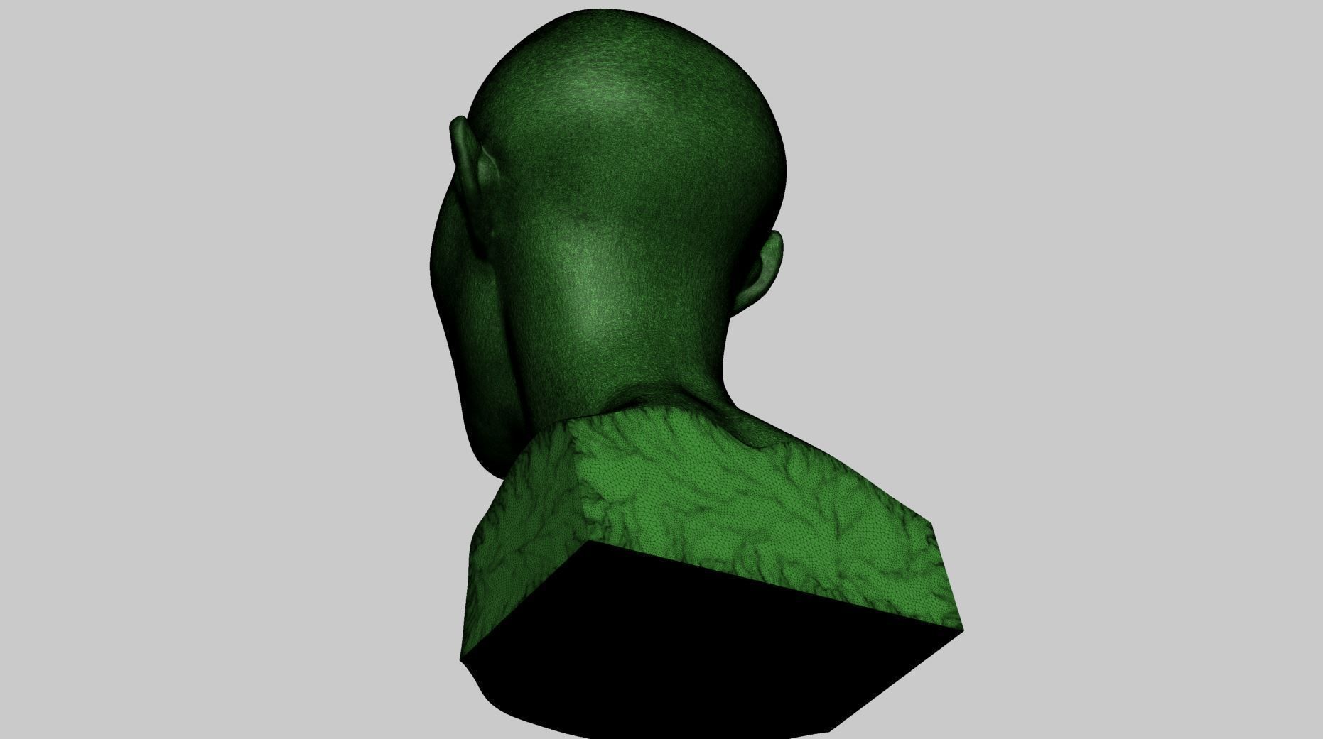 Fantasy Female Bust D 3D print model_13