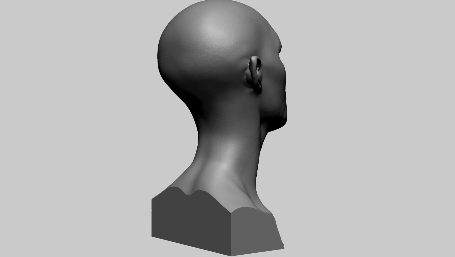 Fantasy Female Bust D 3D print model_2