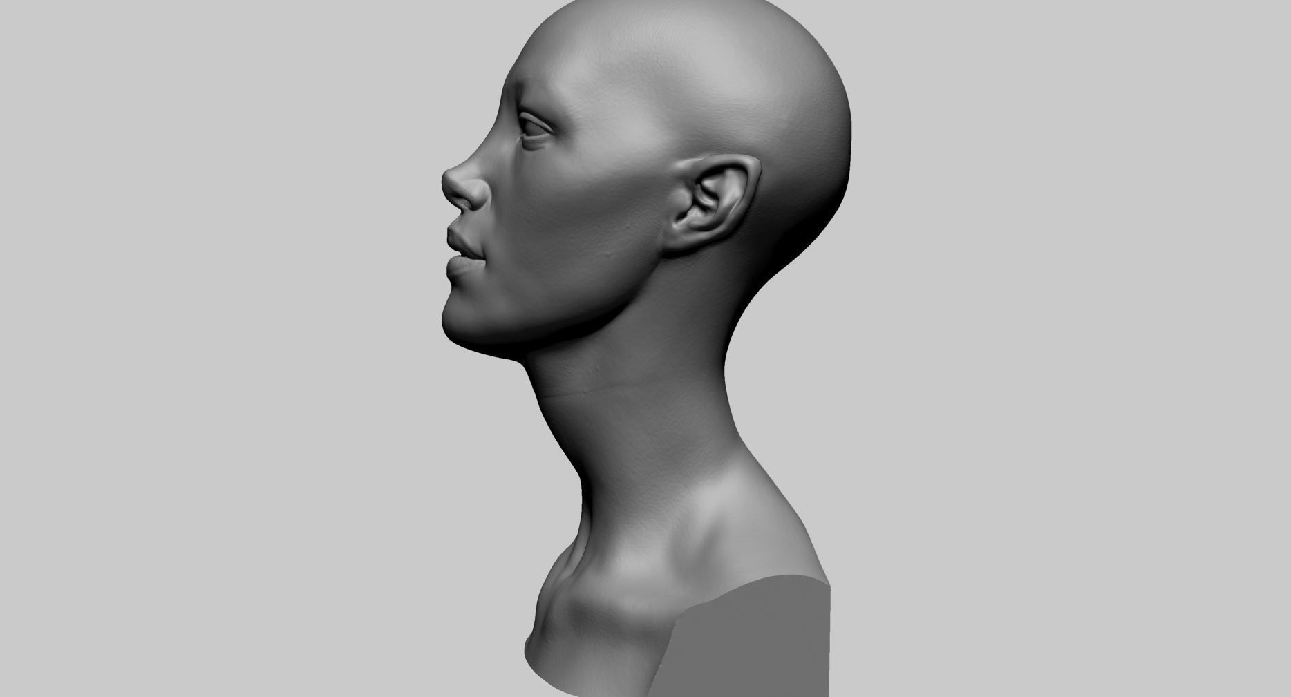 Fantasy Female Bust D 3D print model_5