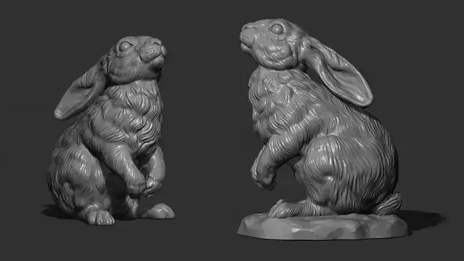  Hare looks up 3D print model