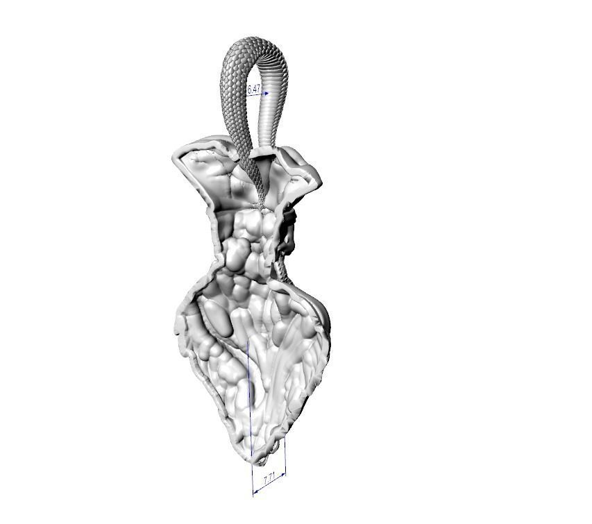 Pendant undead pirate skull snakes octopus tentacle 3D print model_13