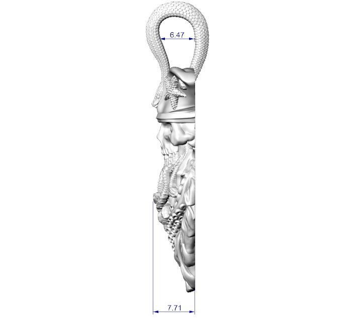 Pendant undead pirate skull snakes octopus tentacle 3D print model_12