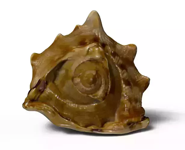 Queen Helmet shell 3D model
