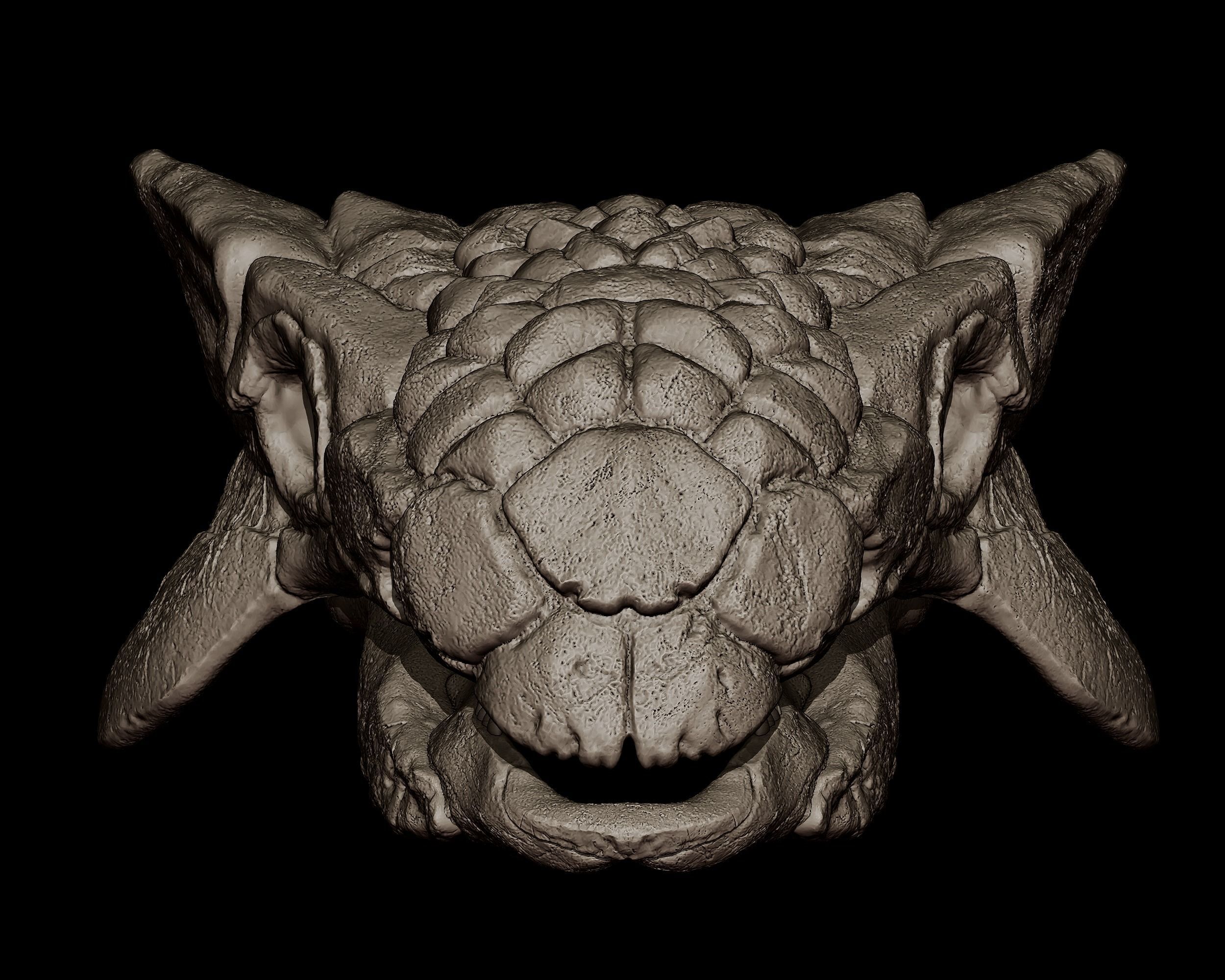 Ankylosaurus Skull  3D print model_1