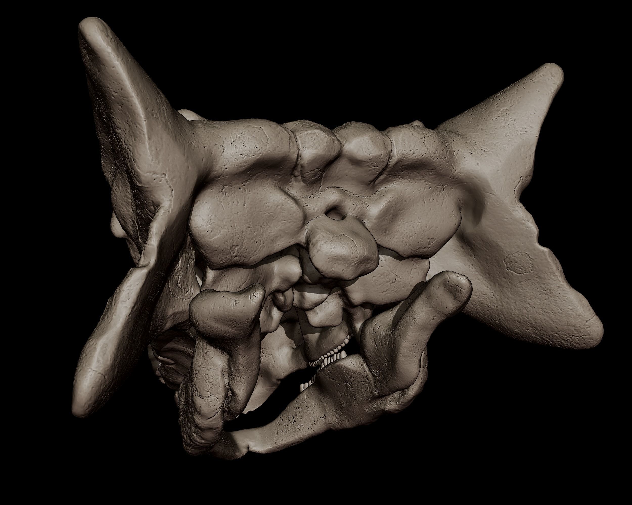 Ankylosaurus Skull  3D print model_5