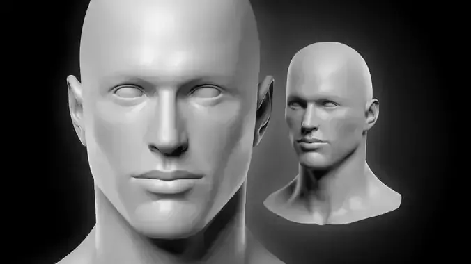 Realistic Man Head Basemesh