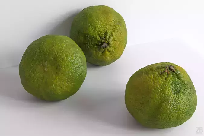 Tangelo 3D model