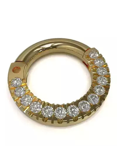 Septum ring with gems