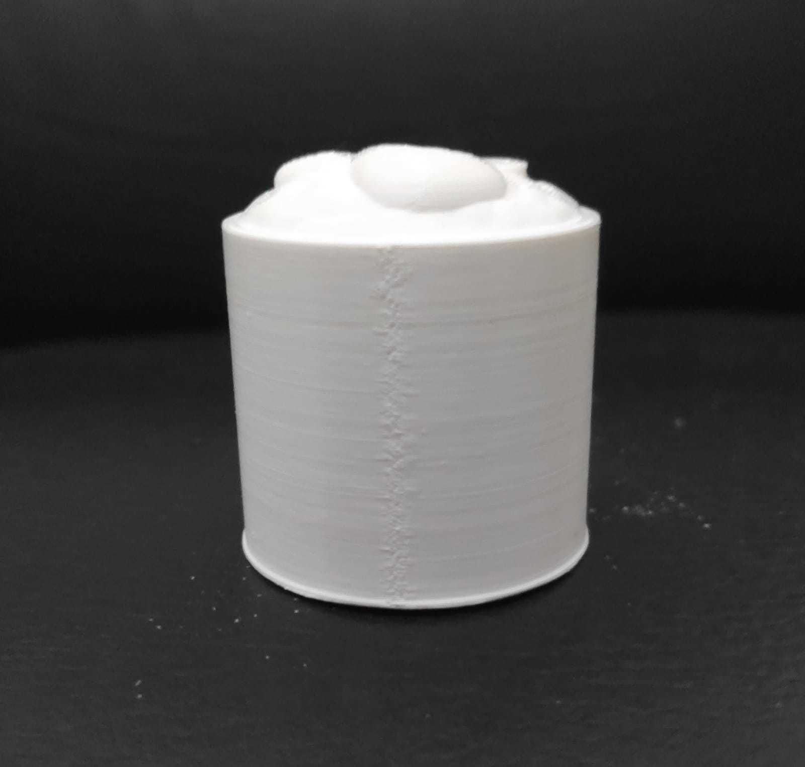 Sushi Roll 3D print model_5