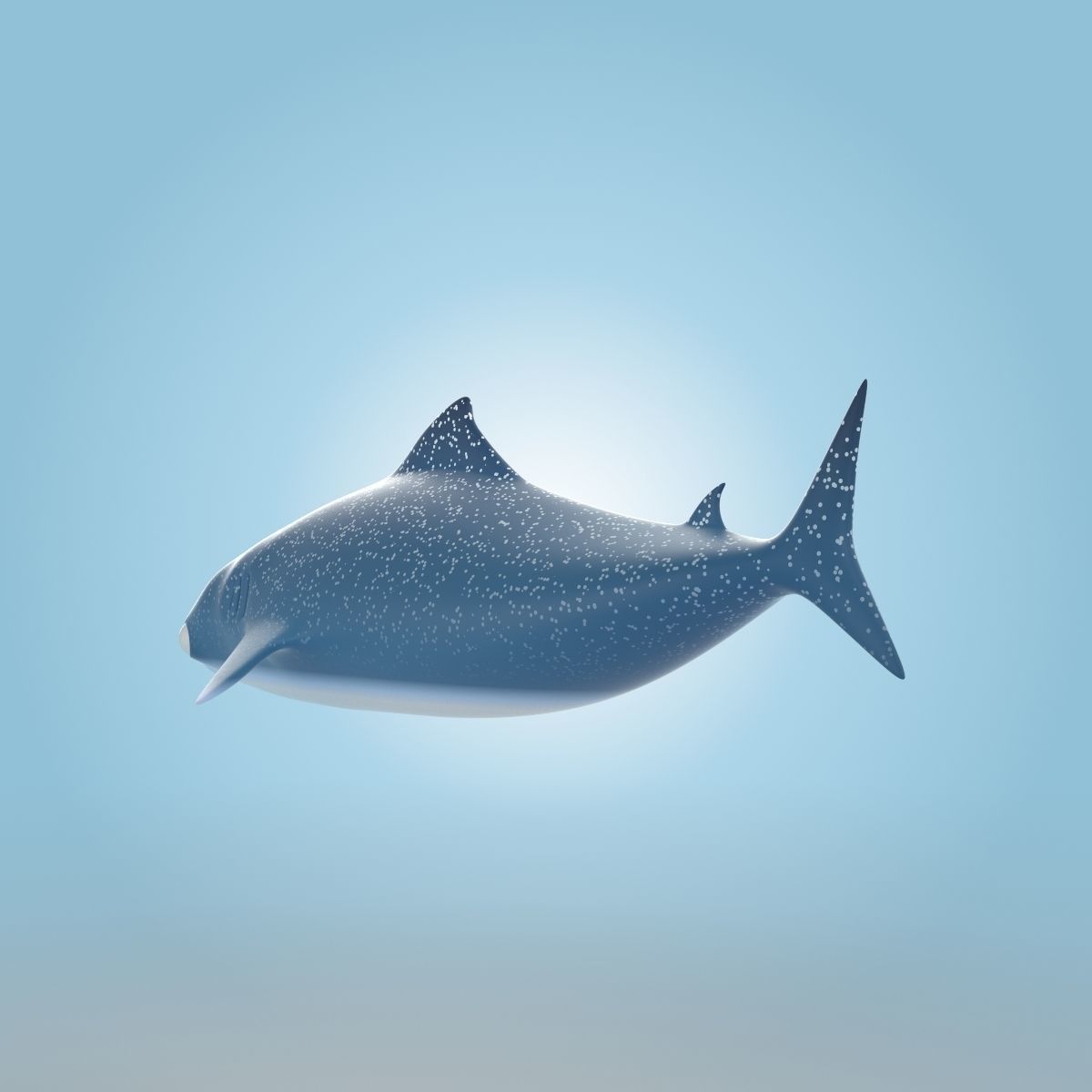 Whale Shark 3D model_2