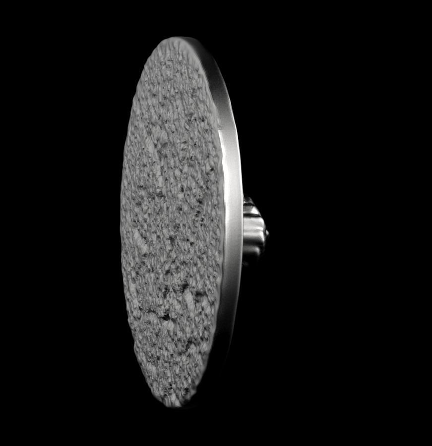 Chinese Zodiac Tiger 003 3D print model_43