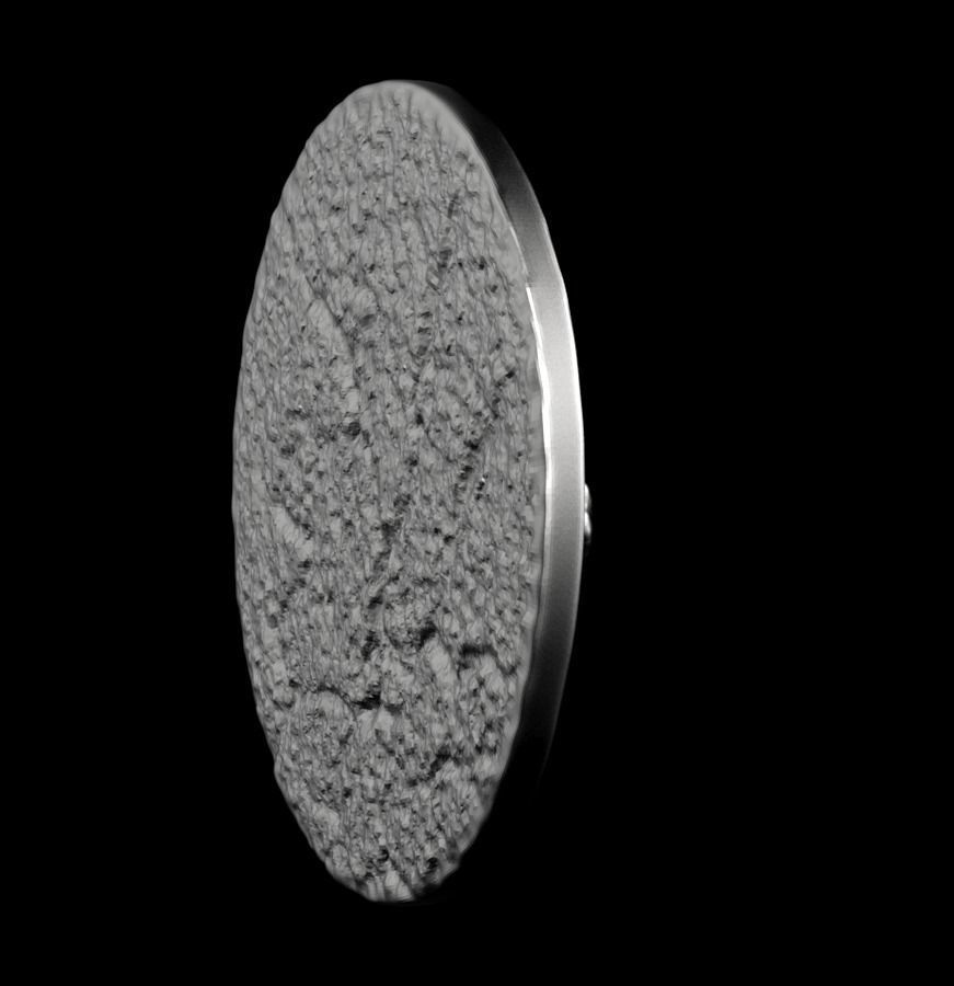 Chinese Zodiac Tiger 003 3D print model_42