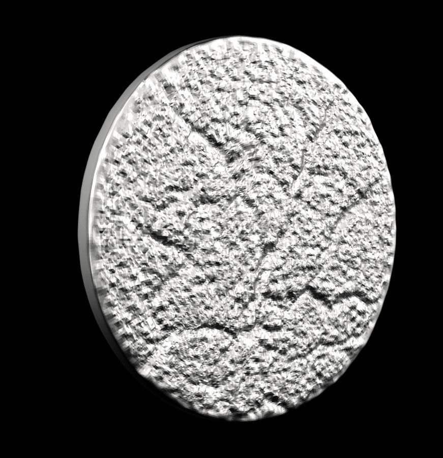 Chinese Zodiac Tiger 003 3D print model_25