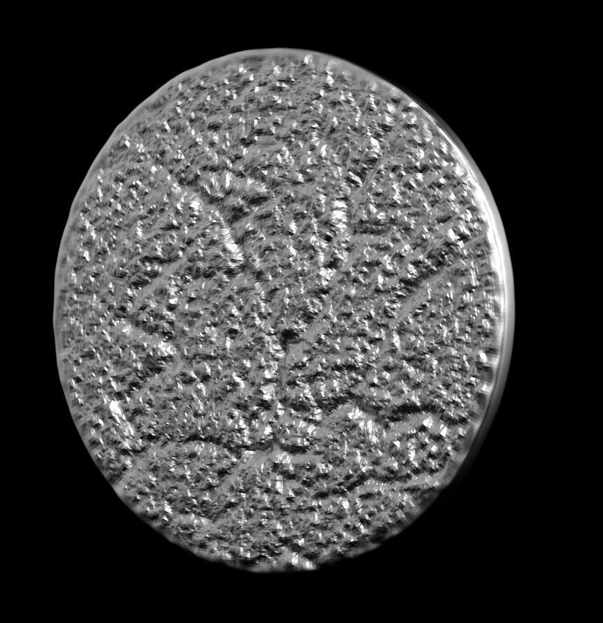 Chinese Zodiac Tiger 003 3D print model_36