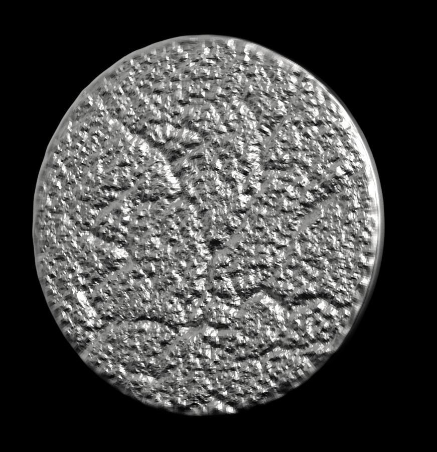 Chinese Zodiac Tiger 003 3D print model_35