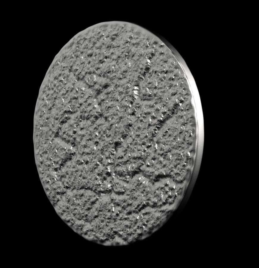 Chinese Zodiac Tiger 003 3D print model_38