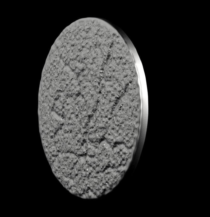 Chinese Zodiac Tiger 003 3D print model_40