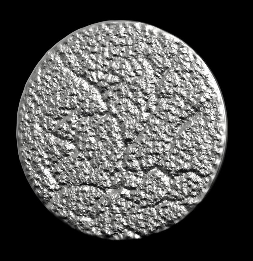 Chinese Zodiac Tiger 003 3D print model_34