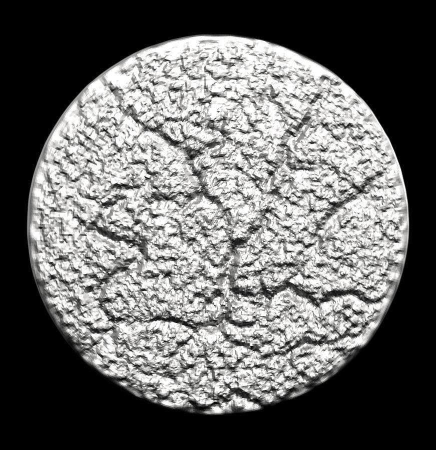 Chinese Zodiac Tiger 003 3D print model_31