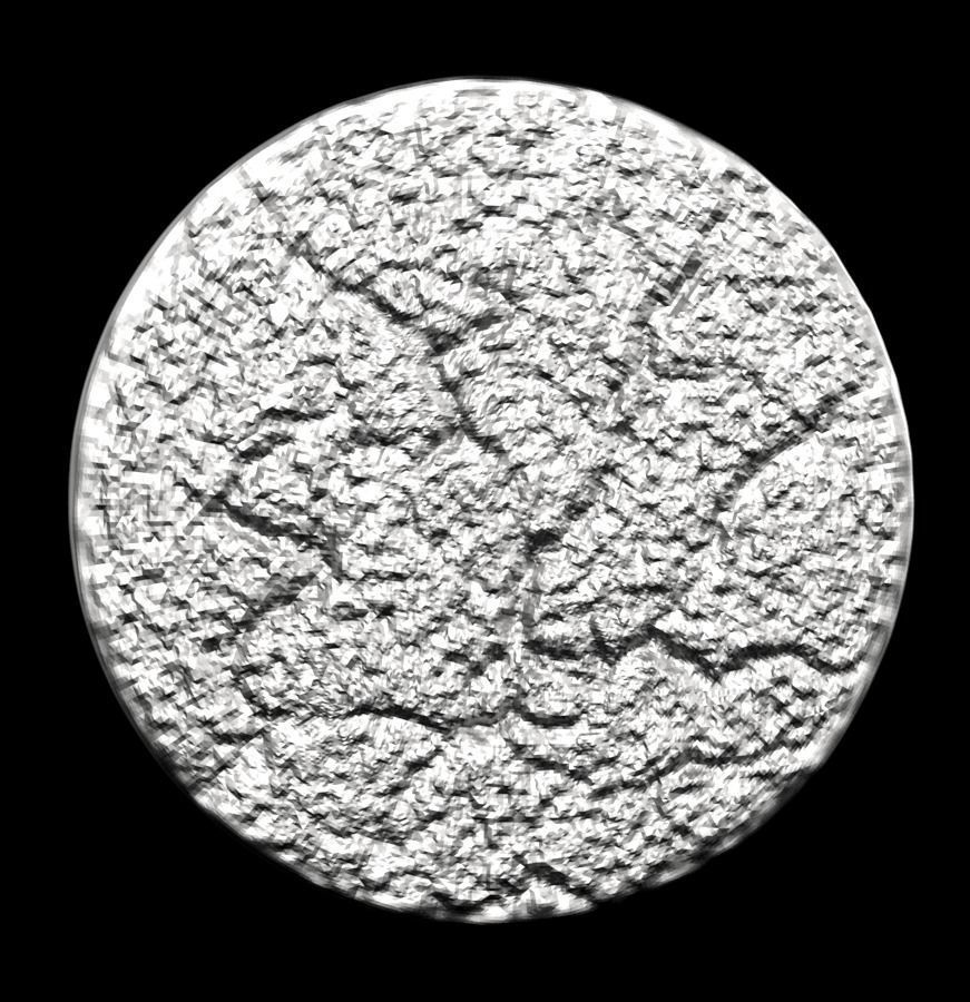 Chinese Zodiac Tiger 003 3D print model_30