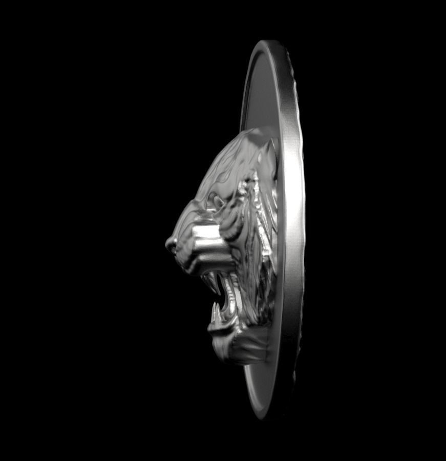 Chinese Zodiac Tiger 003 3D print model_15