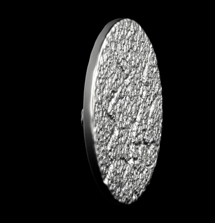 Chinese Zodiac Tiger 003 3D print model_20