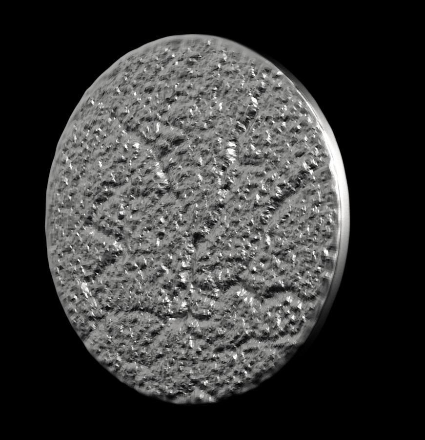 Chinese Zodiac Tiger 003 3D print model_37