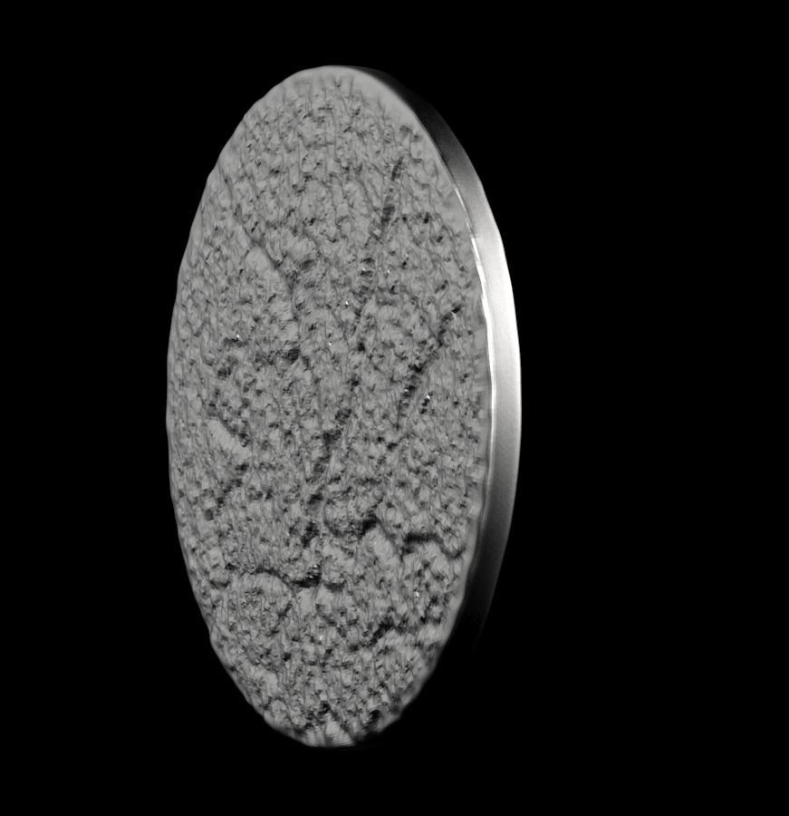 Chinese Zodiac Tiger 003 3D print model_41