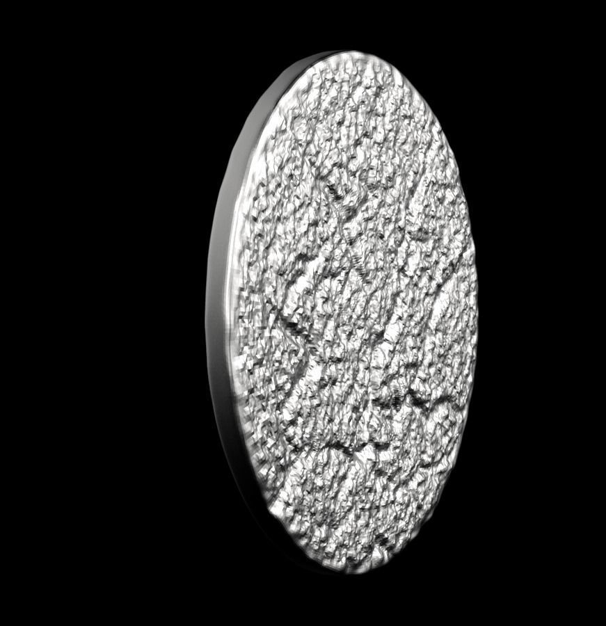 Chinese Zodiac Tiger 003 3D print model_21