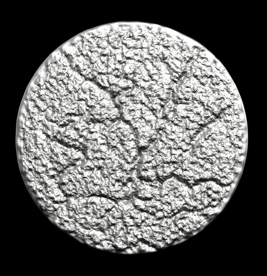 Chinese Zodiac Tiger 003 3D print model_32