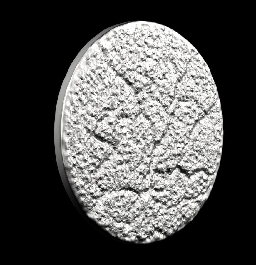 Chinese Zodiac Tiger 003 3D print model_24