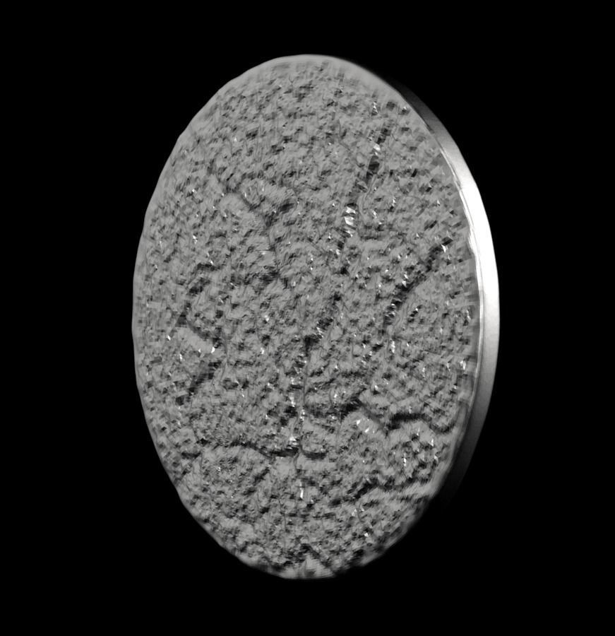 Chinese Zodiac Snake 003 3D print model_39