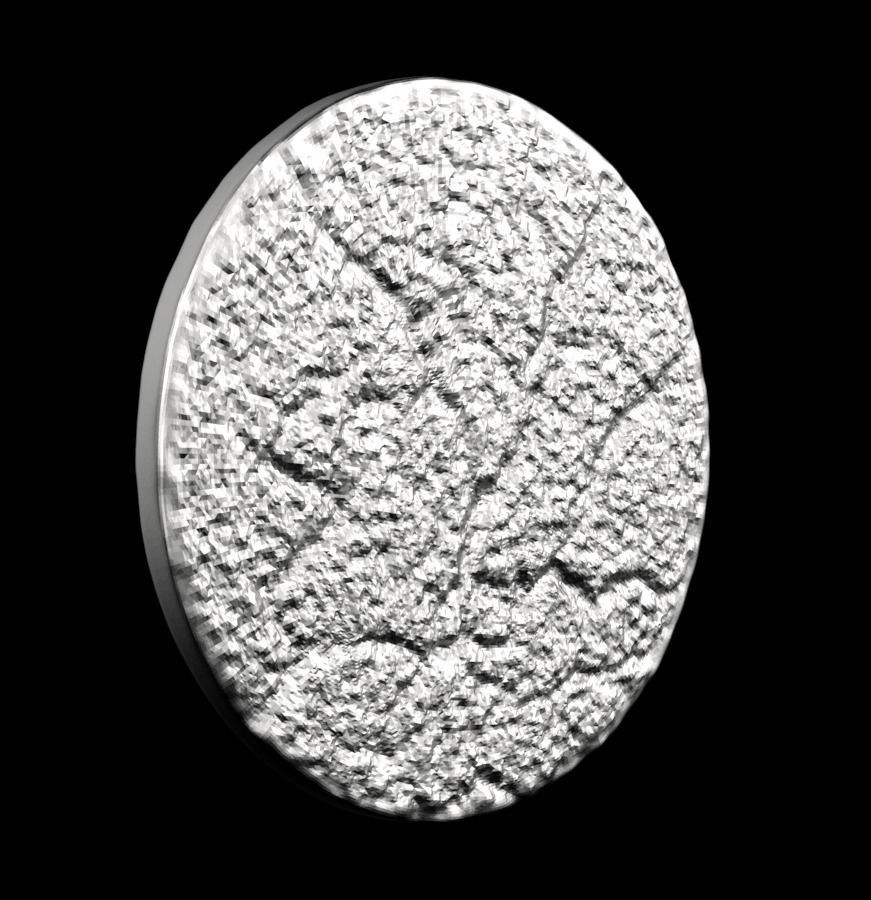 Chinese Zodiac Snake 003 3D print model_24