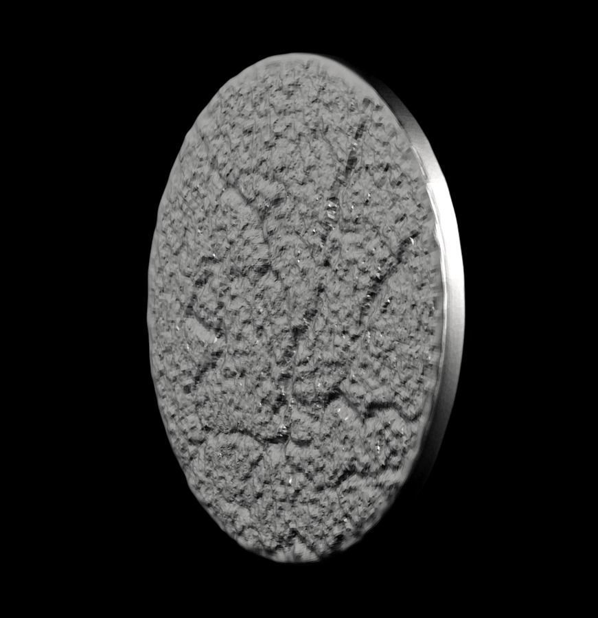 Chinese Zodiac Snake 003 3D print model_40