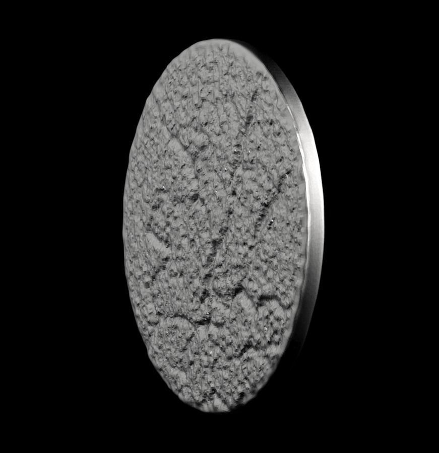 Chinese Zodiac Snake 003 3D print model_41