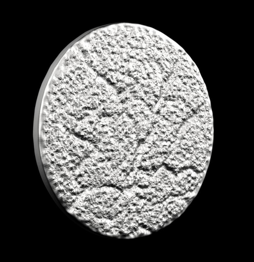 Chinese Zodiac Snake 003 3D print model_25