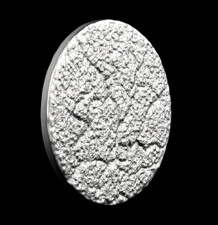 Chinese Zodiac Snake 003 3D print model_23