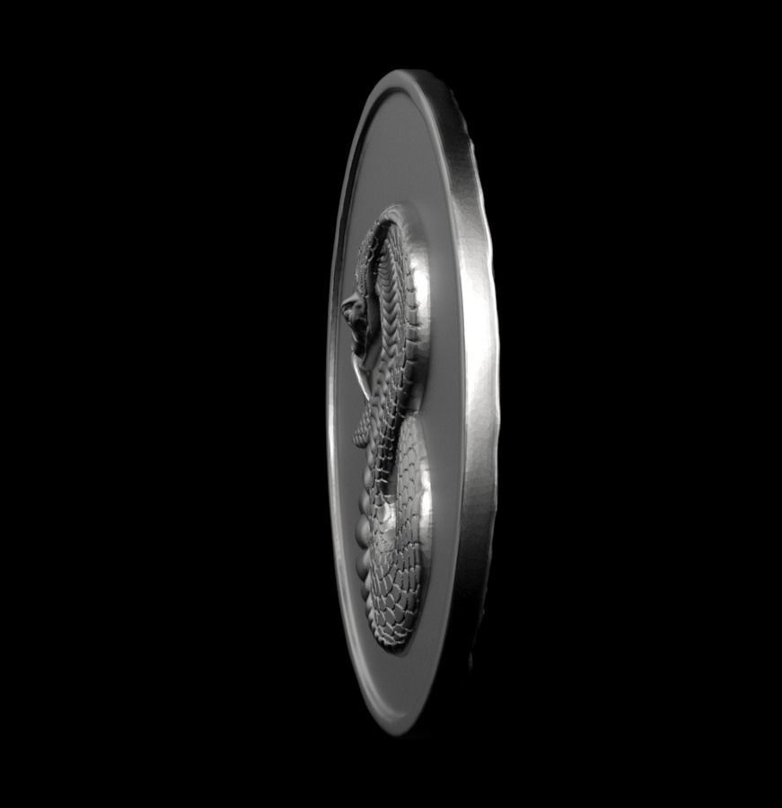 Chinese Zodiac Snake 003 3D print model_14