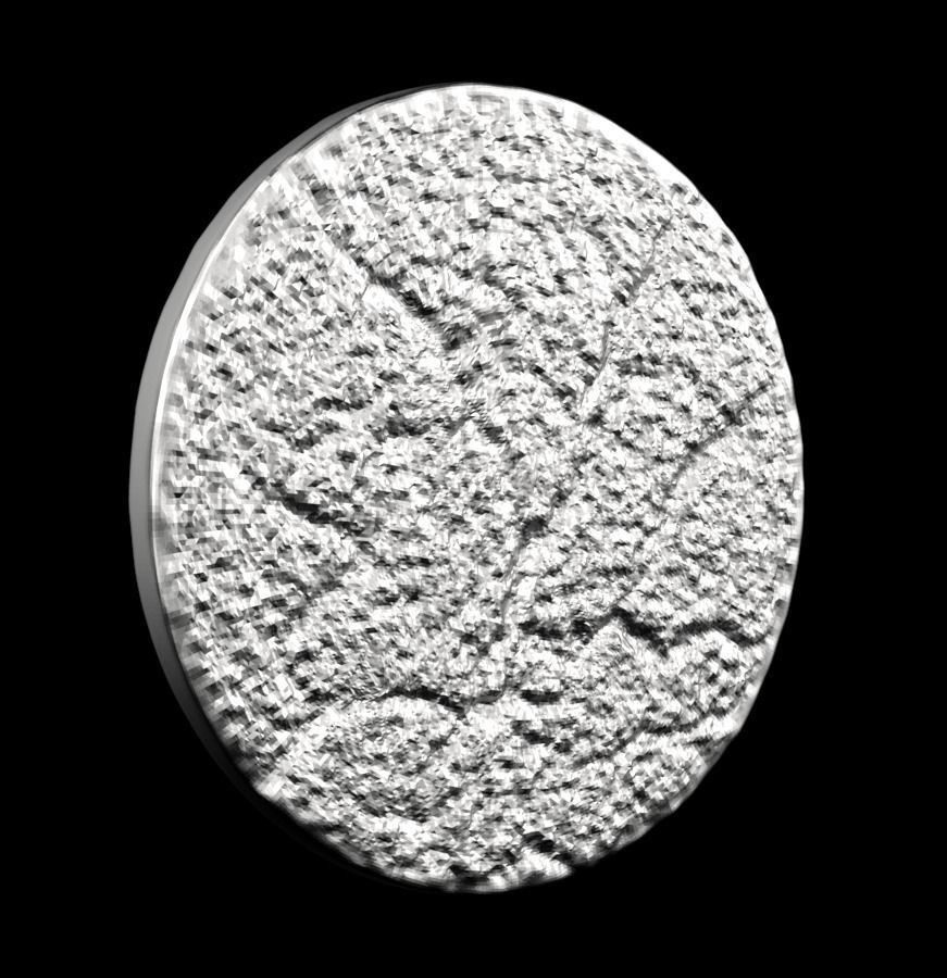 Chinese Zodiac Rooster 003 3D print model_25