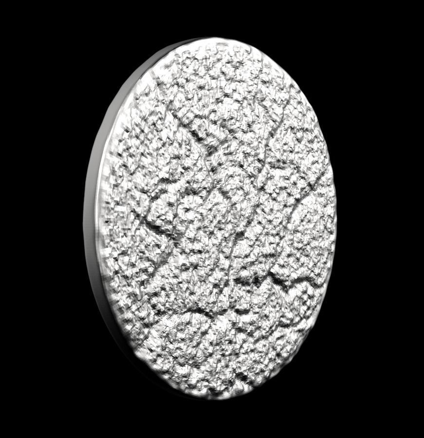 Chinese Zodiac Rooster 003 3D print model_23