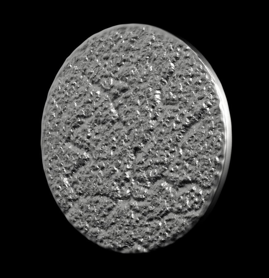 Chinese Zodiac Rooster 003 3D print model_37