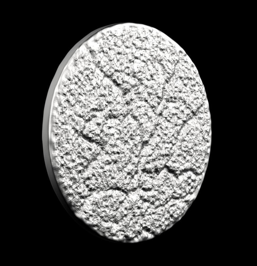 Chinese Zodiac Rooster 003 3D print model_24