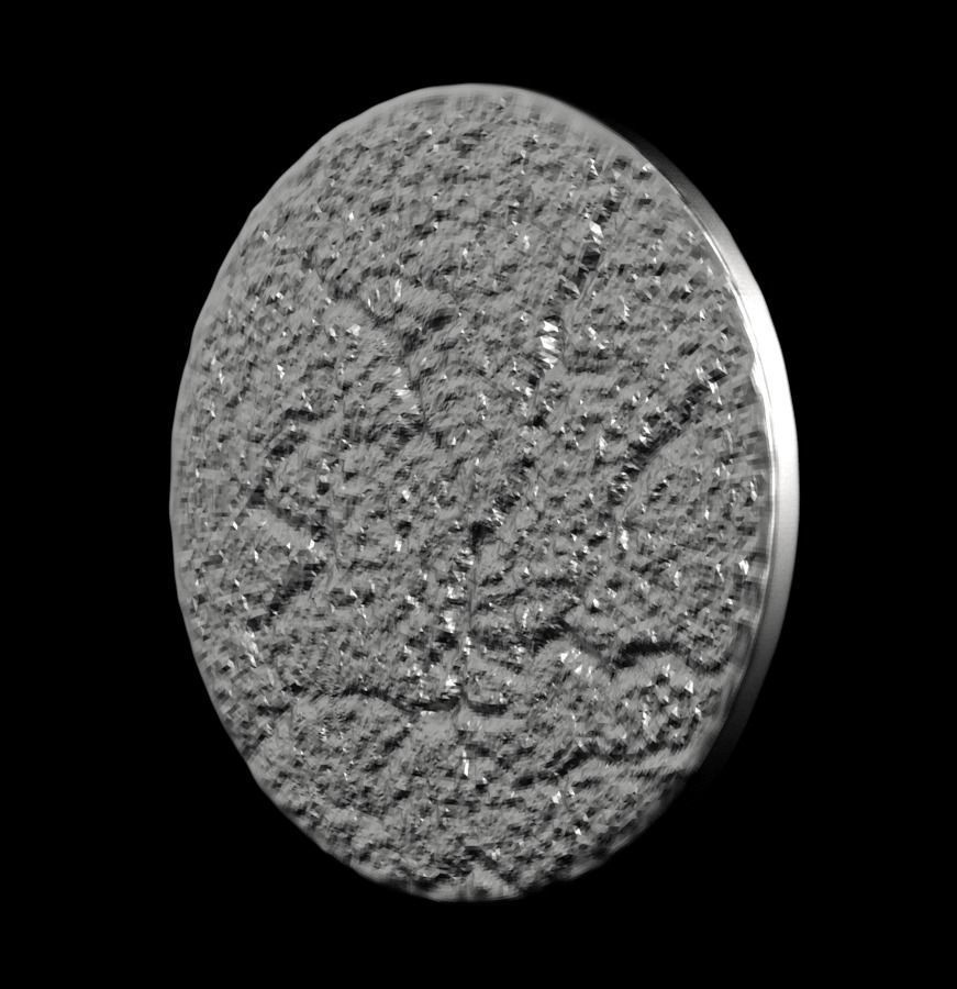 Chinese Zodiac Rooster 003 3D print model_38