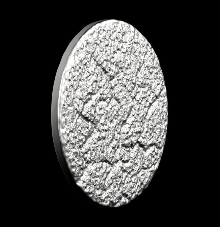 Chinese Zodiac Rooster 003 3D print model_22