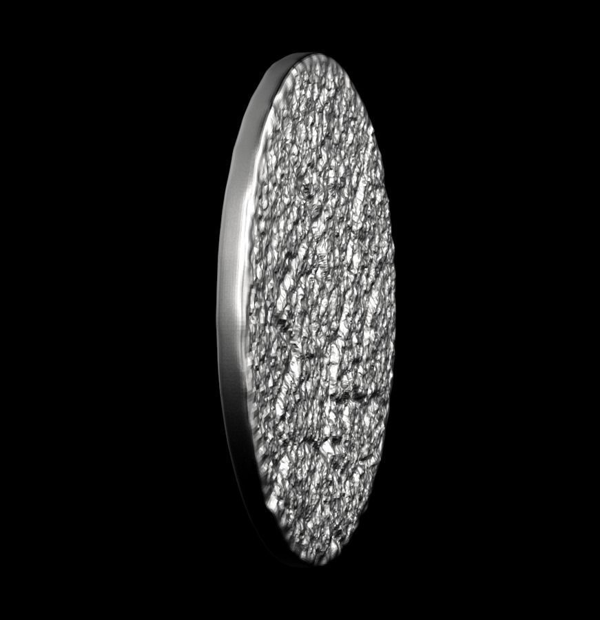 Chinese Zodiac Rooster 003 3D print model_19