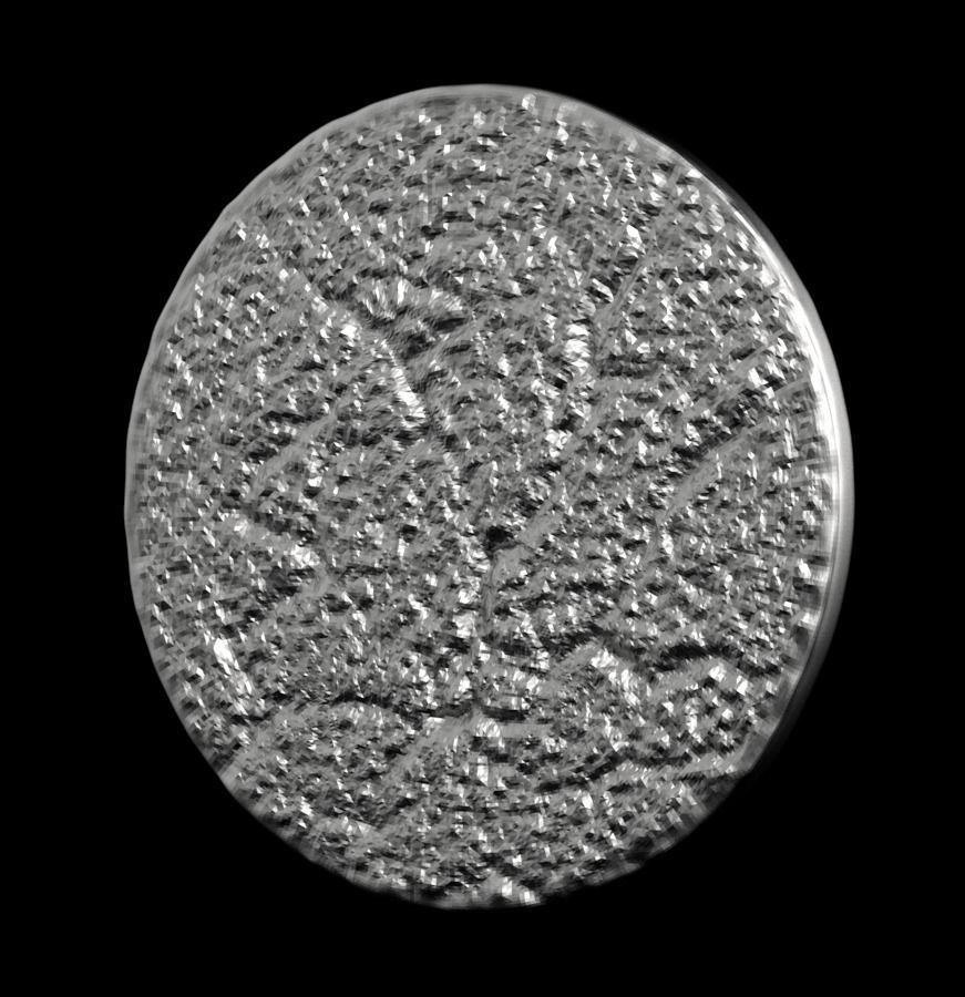 Chinese Zodiac Rooster 003 3D print model_36