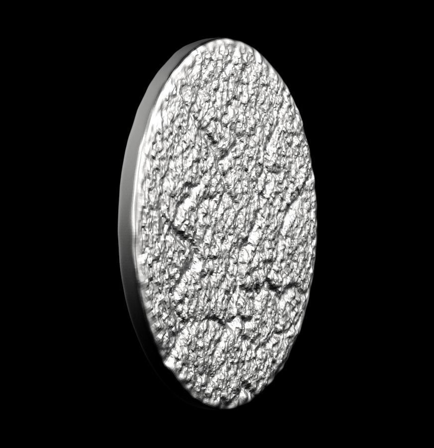 Chinese Zodiac Rooster 003 3D print model_21