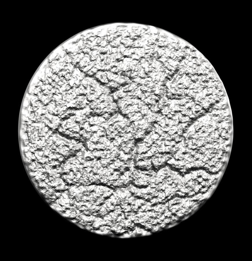 Chinese Zodiac Rooster 003 3D print model_30