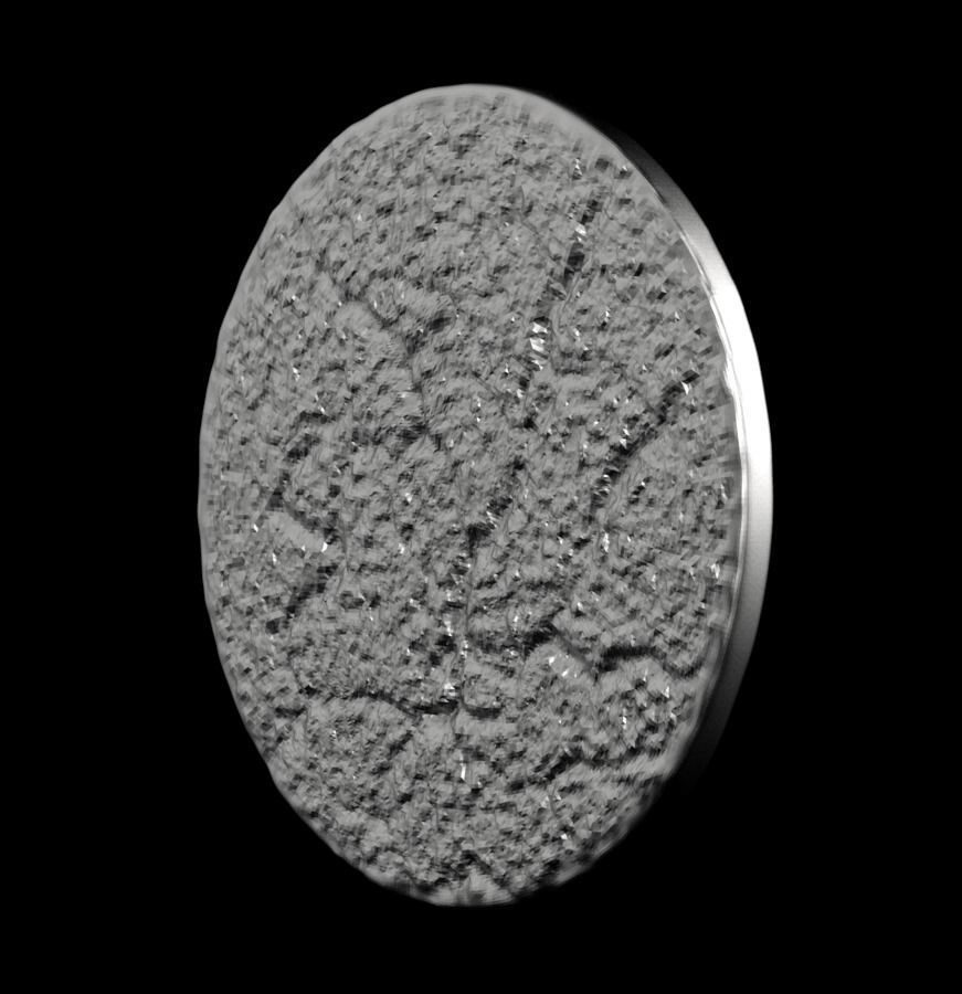 Chinese Zodiac Rooster 003 3D print model_39